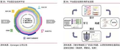 合成生物乘勢而起 顛覆傳統引領未來，軟件開發助力行業龍頭迎戴維斯雙擊
